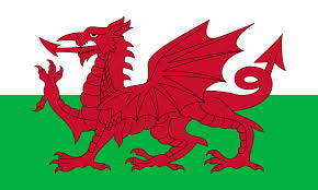 Wales flag 3’x5’